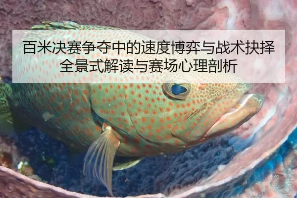 bai-mi-jue-sai-zheng-duo-zhong-de-su-du-bo-yi-yu-zhan-shu-jue-ze-quan-jing-shi-jie-du-yu-sai-chang-xin-li-pou-xi-1-570.jpg